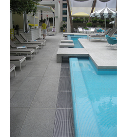 Wet Surface Slip Resistance